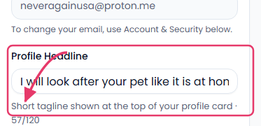 Profile Headline field